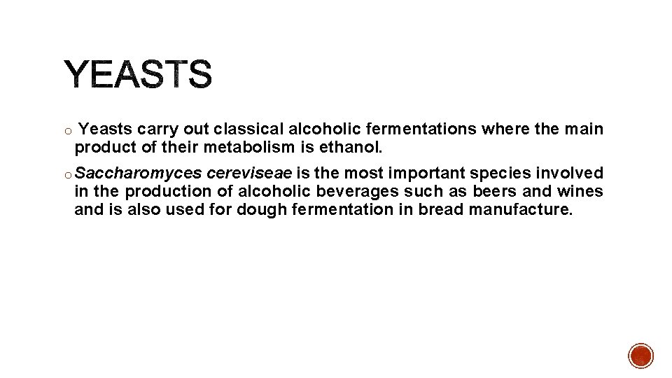 o Yeasts carry out classical alcoholic fermentations where the main product of their metabolism
