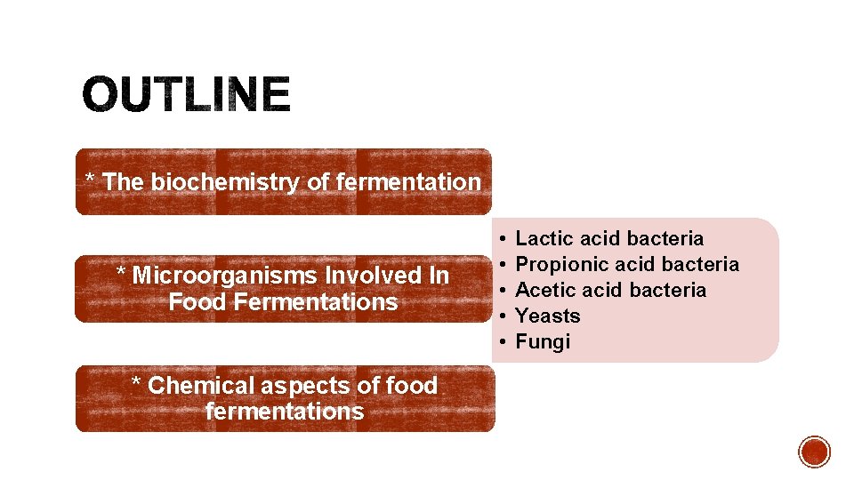 * The biochemistry of fermentation * Microorganisms Involved In Food Fermentations * Chemical aspects