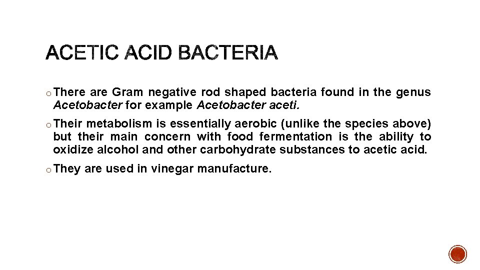 o There are Gram negative rod shaped bacteria found in the genus Acetobacter for