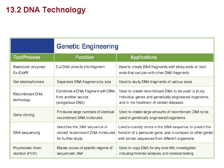 Genetics and Biotechnology 13. 2 DNA Technology 