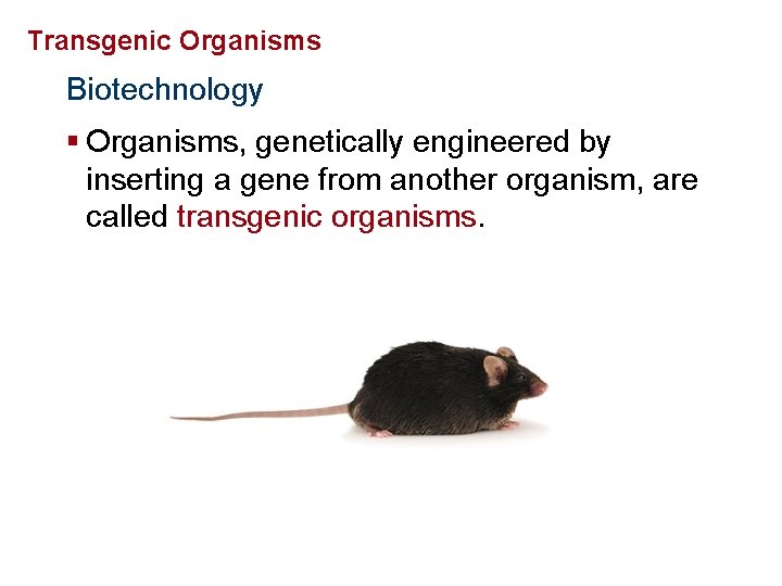 Genetics and Biotechnology Transgenic Organisms Biotechnology § Organisms, genetically engineered by inserting a gene