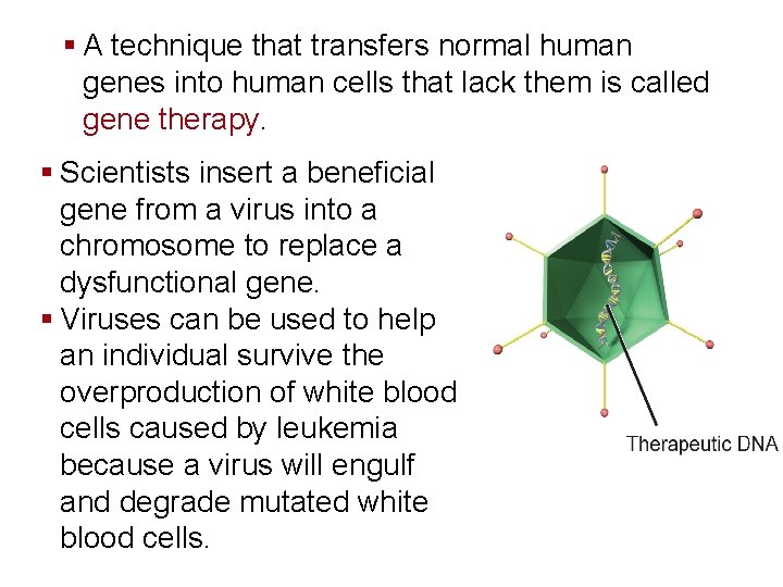 Genetics and Biotechnology § A technique that transfers normal human genes into human cells