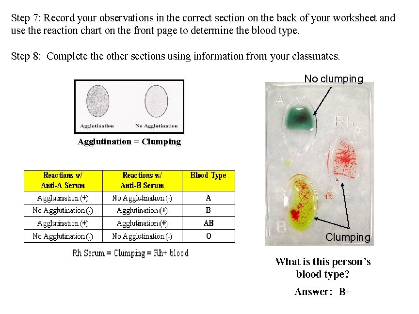 Step 7: Record your observations in the correct section on the back of your