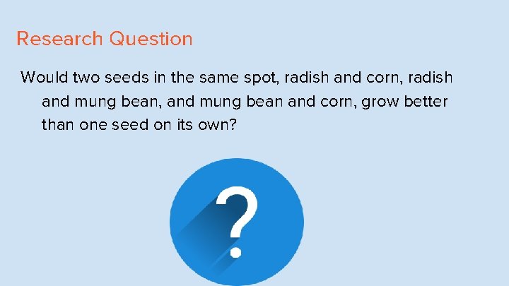 Research Question Would two seeds in the same spot, radish and corn, radish and