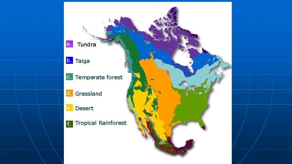 a. Tundra a. b. Taiga nothing c. Temperate forest d. Grassland Temperate forest e.