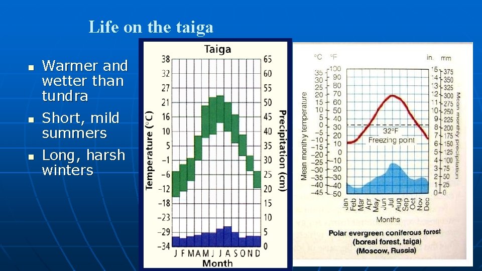 Life on the taiga n n n Warmer and wetter than tundra Short, mild