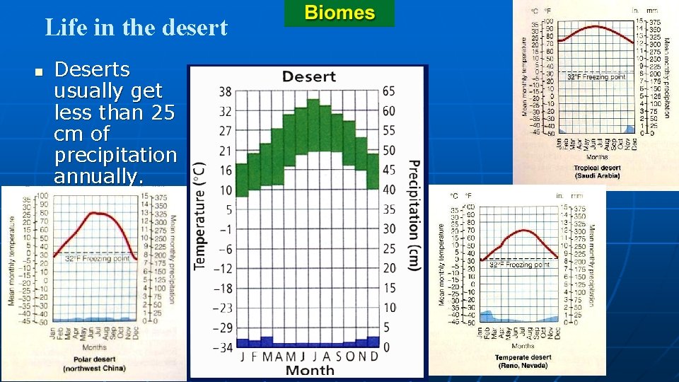 Life in the desert n Deserts usually get less than 25 cm of precipitation