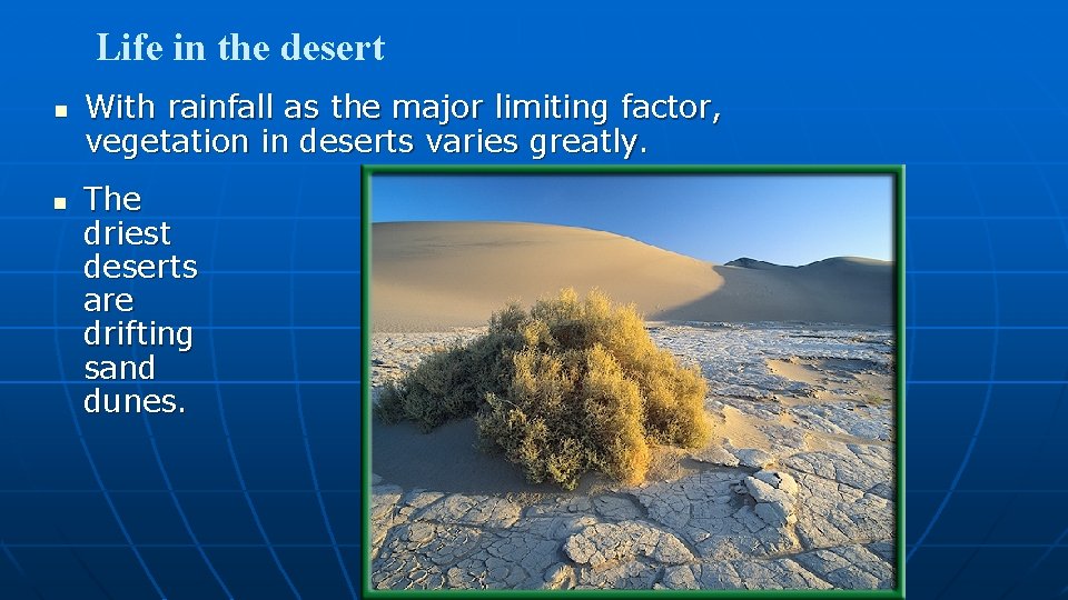 Life in the desert n n With rainfall as the major limiting factor, vegetation