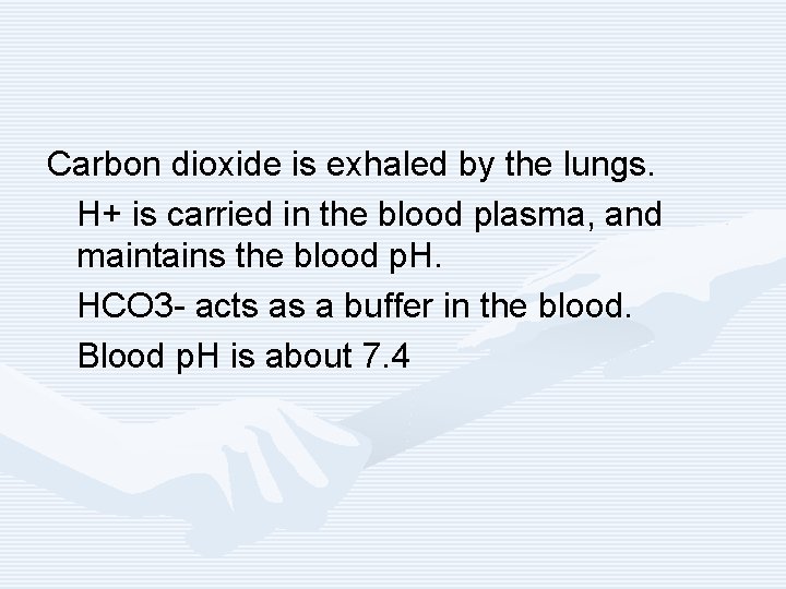 Carbon dioxide is exhaled by the lungs. H+ is carried in the blood plasma,