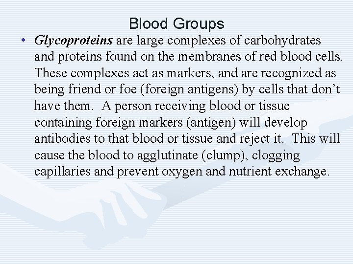 Blood Groups • Glycoproteins are large complexes of carbohydrates and proteins found on the