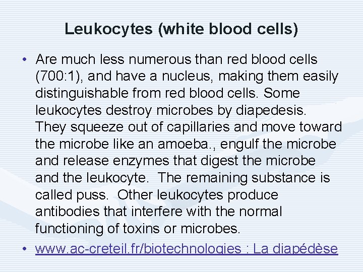 Leukocytes (white blood cells) • Are much less numerous than red blood cells (700: