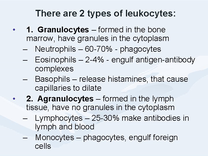 There are 2 types of leukocytes: • 1. Granulocytes – formed in the bone