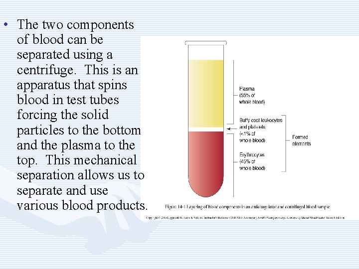  • The two components of blood can be separated using a centrifuge. This