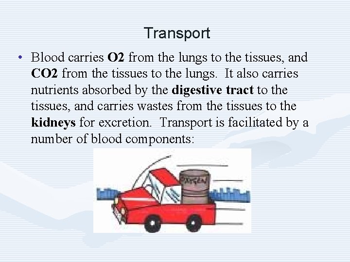 Transport • Blood carries O 2 from the lungs to the tissues, and CO