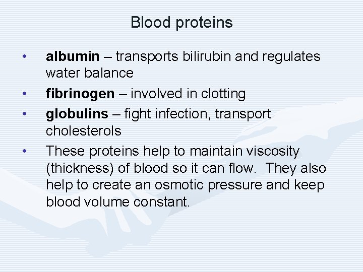 Blood proteins • • albumin – transports bilirubin and regulates water balance fibrinogen –