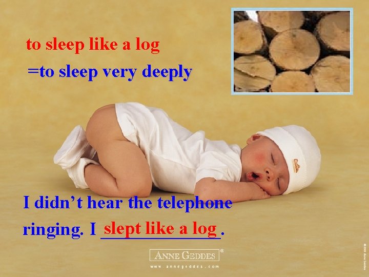 to sleep like a log =to sleep very deeply I didn’t hear the telephone