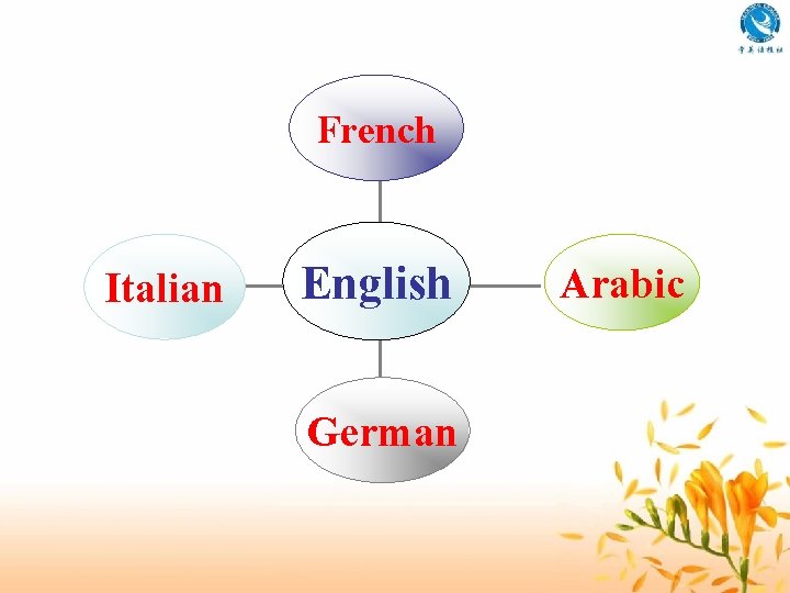 French Italian English German Arabic 