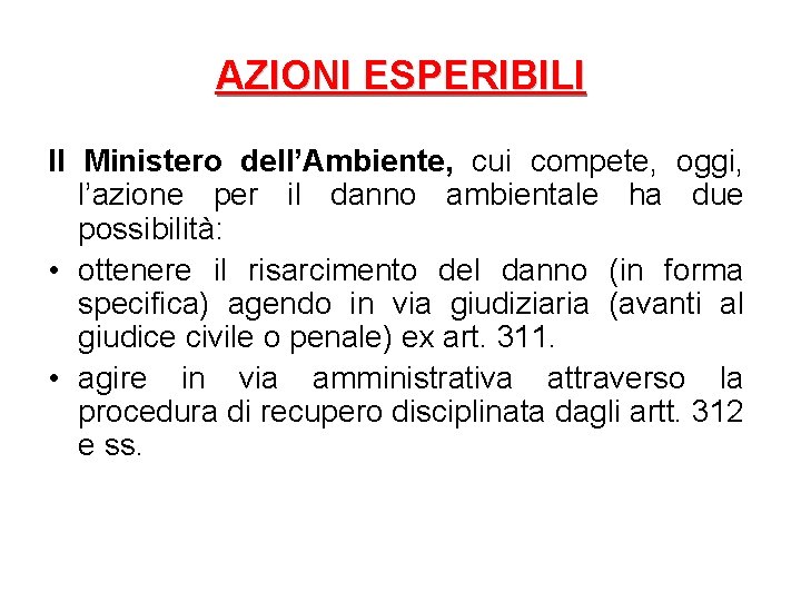 AZIONI ESPERIBILI Il Ministero dell’Ambiente, cui compete, oggi, l’azione per il danno ambientale ha