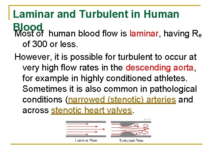 Laminar and Turbulent in Human Blood Most of human blood flow is laminar, having