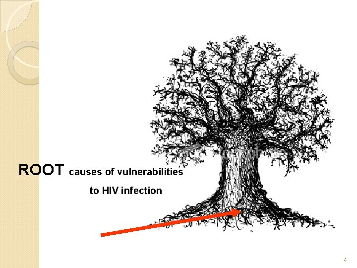 ROOT causes of vulnerabilities to HIV infection 4 