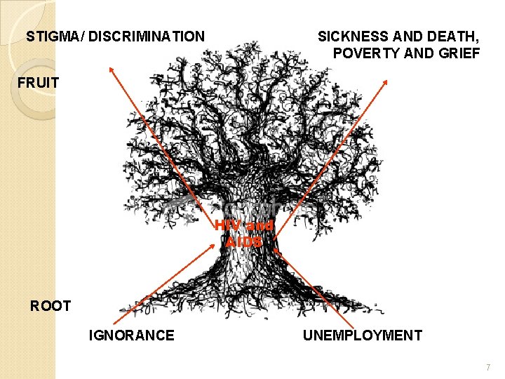STIGMA/ DISCRIMINATION SICKNESS AND DEATH, POVERTY AND GRIEF FRUIT HIV and AIDS ROOT IGNORANCE