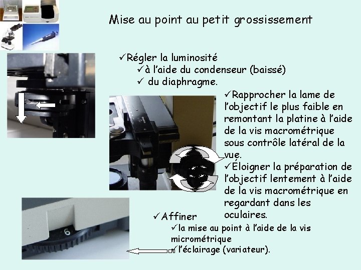 Mise au point au petit grossissement üRégler la luminosité üà l’aide du condenseur (baissé)