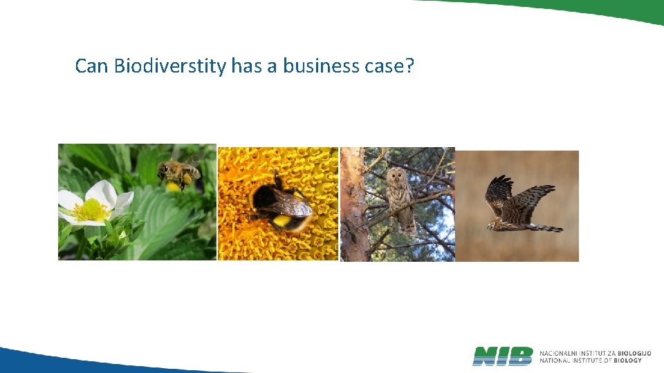 Can Biodiverstity has a business case? 