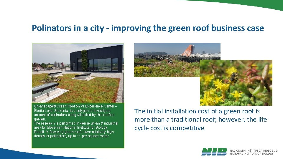 Polinators in a city - improving the green roof business case Urbanscape® Green Roof