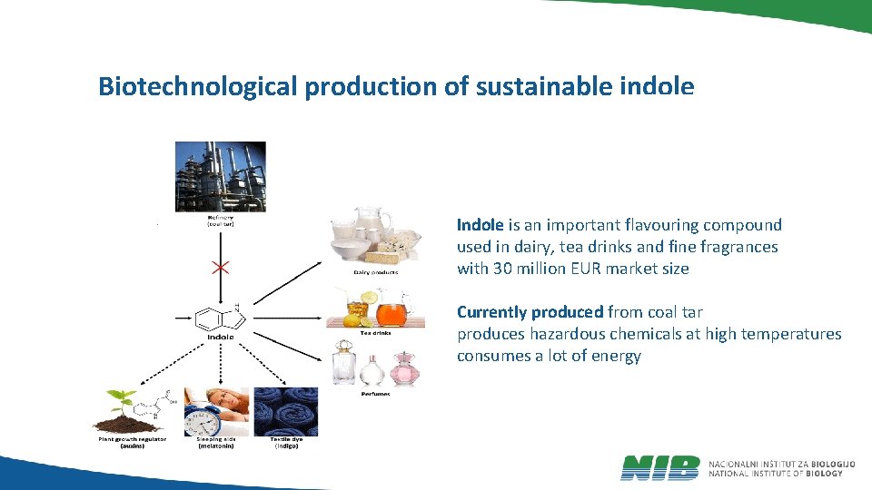 Biotechnological production of sustainable indole Indole is an important flavouring compound used in dairy,