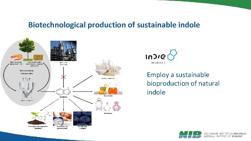 Biotechnological production of sustainable indole Employ a sustainable bioproduction of natural indole 