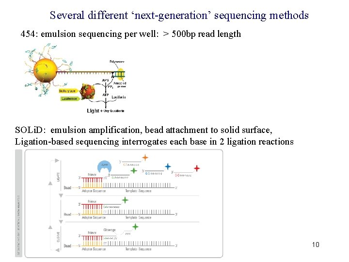 Several different ‘next-generation’ sequencing methods 454: emulsion sequencing per well: > 500 bp read