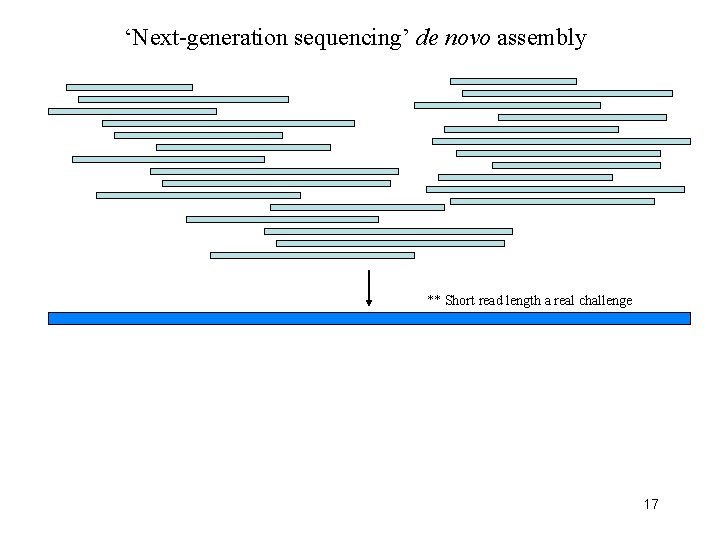‘Next-generation sequencing’ de novo assembly ** Short read length a real challenge 17 