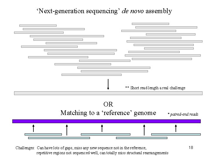 ‘Next-generation sequencing’ de novo assembly ** Short read length a real challenge OR Matching
