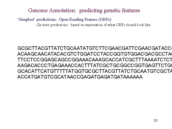Genome Annotation: predicting genetic features ‘Simplest’ predictions: Open Reading Frames (ORFs) - De novo
