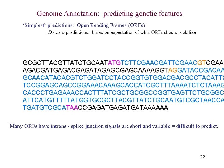 Genome Annotation: predicting genetic features ‘Simplest’ predictions: Open Reading Frames (ORFs) - De novo