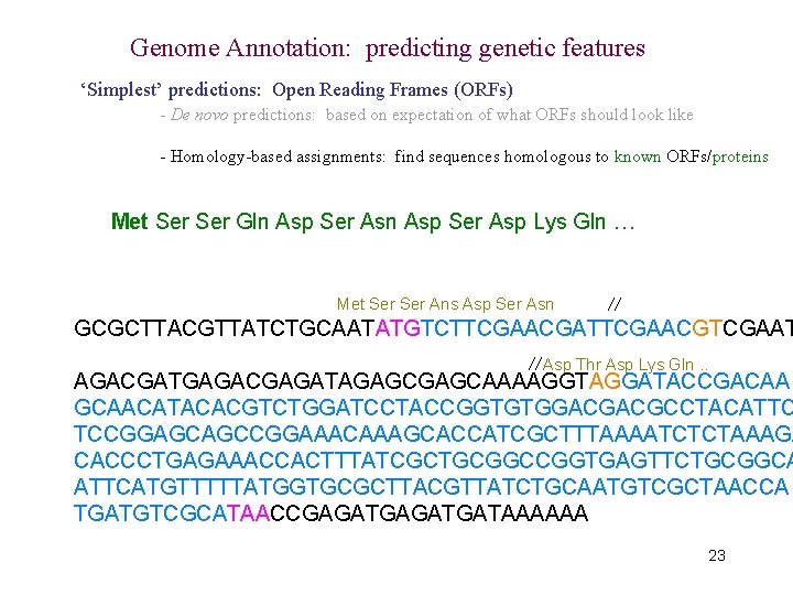 Genome Annotation: predicting genetic features ‘Simplest’ predictions: Open Reading Frames (ORFs) - De novo