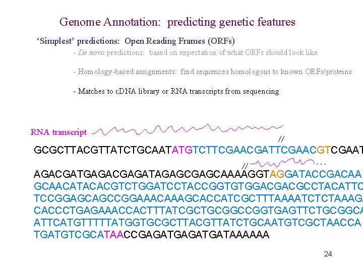 Genome Annotation: predicting genetic features ‘Simplest’ predictions: Open Reading Frames (ORFs) - De novo