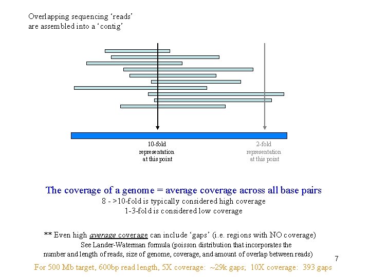 Overlapping sequencing ‘reads’ are assembled into a ‘contig’ 10 -fold representation at this point