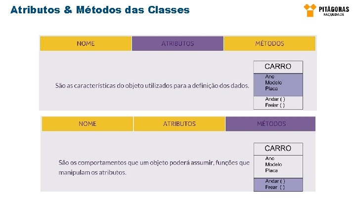 Atributos & Métodos das Classes 