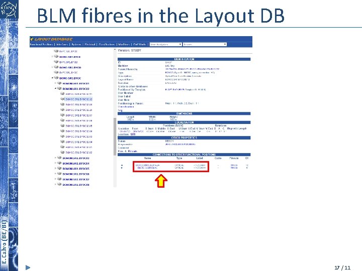 Calvo (BE/BI) E. E. Calvo (BE/BI) BLM fibres in the Layout DB 17 /