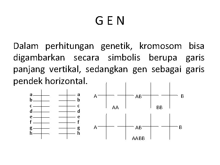 GEN Dalam perhitungan genetik, kromosom bisa digambarkan secara simbolis berupa garis panjang vertikal, sedangkan