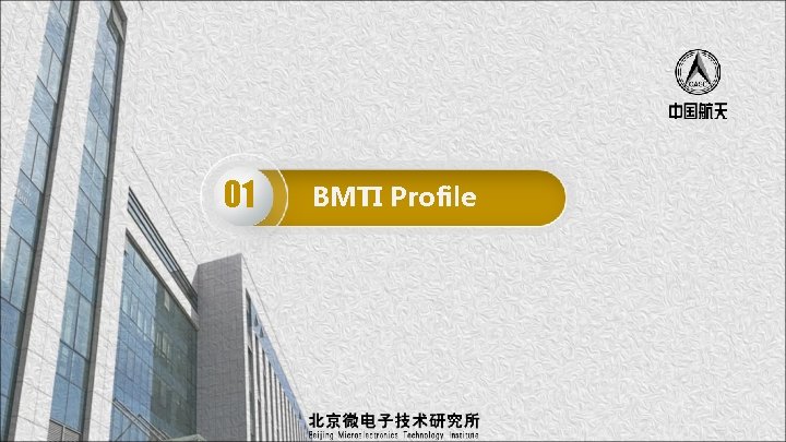 01 BMTI Profile 