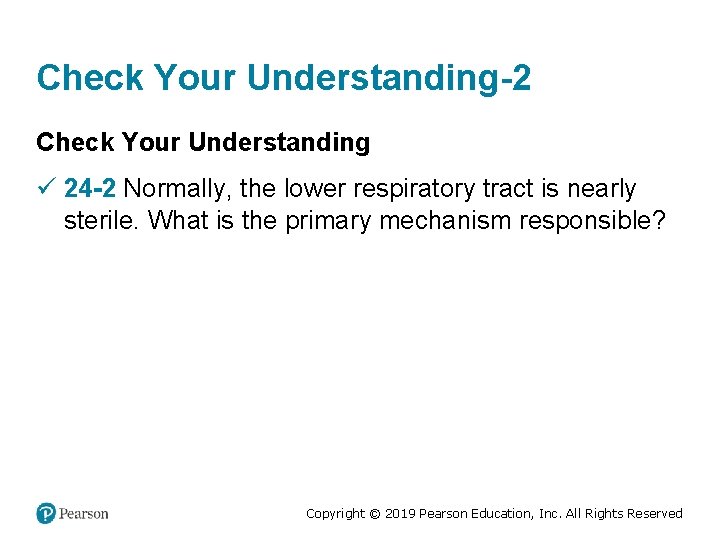 Check Your Understanding-2 Check Your Understanding ü 24 -2 Normally, the lower respiratory tract