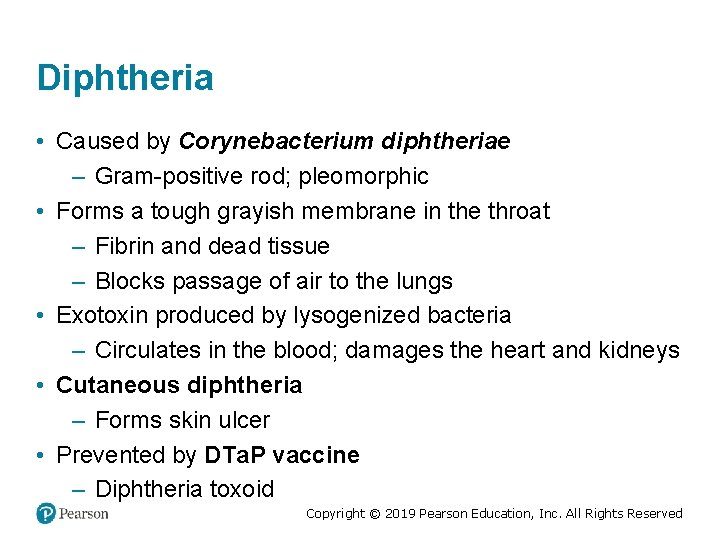 Diphtheria • Caused by Corynebacterium diphtheriae – Gram-positive rod; pleomorphic • Forms a tough