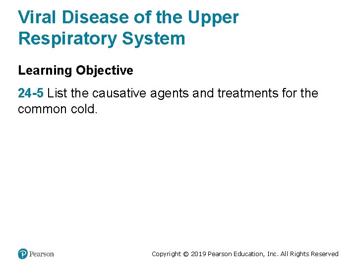 Viral Disease of the Upper Respiratory System Learning Objective 24 -5 List the causative