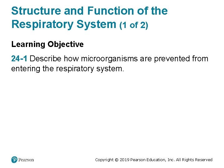 Structure and Function of the Respiratory System (1 of 2) Learning Objective 24 -1