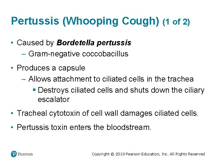 Pertussis (Whooping Cough) (1 of 2) • Caused by Bordetella pertussis – Gram-negative coccobacillus