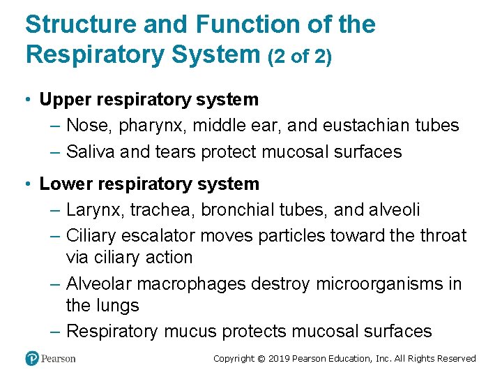Structure and Function of the Respiratory System (2 of 2) • Upper respiratory system