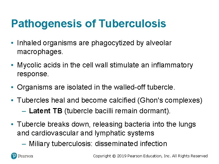 Pathogenesis of Tuberculosis • Inhaled organisms are phagocytized by alveolar macrophages. • Mycolic acids