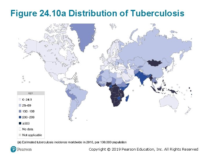 Figure 24. 10 a Distribution of Tuberculosis Copyright © 2019 Pearson Education, Inc. All